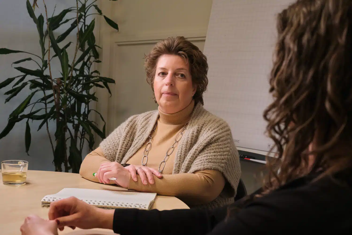 Conflicthantering & Mediation Conny van Leest samen doelen halen rekenen lezen concentreren